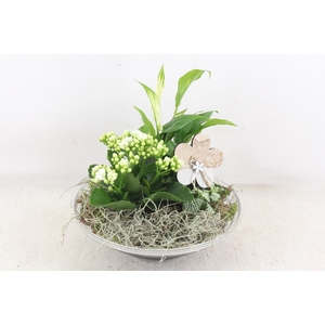 arr2 JS - Glas schaal ribbel 335/2