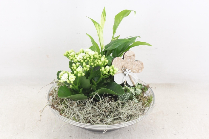 <h4>arr2 JS - Glas schaal ribbel 335/2</h4>