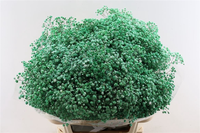 <h4>Gyps Pa. Forest Green</h4>