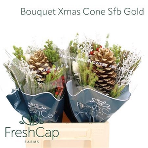 Bouquet Xmas Cone Sfb Gold
