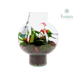 Arrangement Green Bottle Laura Large FC-24.0945FDH