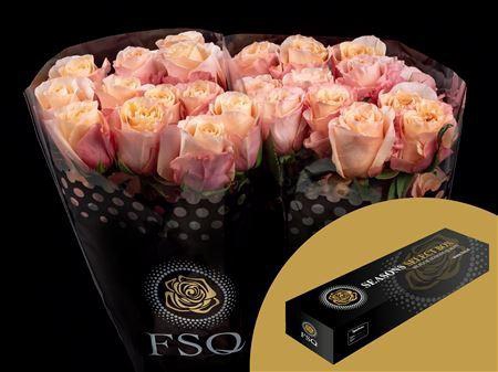 <h4>R Gr Baru Box</h4>