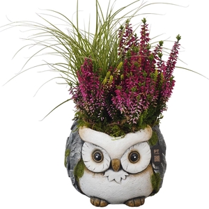 Arr.   Tuinplanten L%