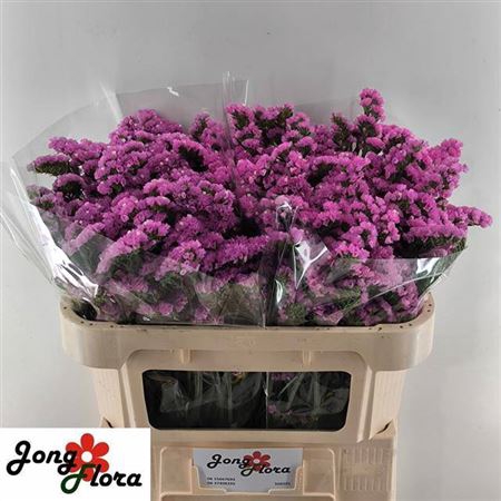 <h4>Lim S Raspberry Wings</h4>