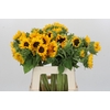 Helianthus Orange Fire