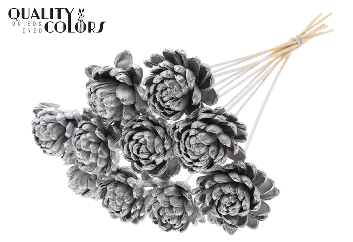 Shola New Beauty Rose Ø8cm on stem Silver