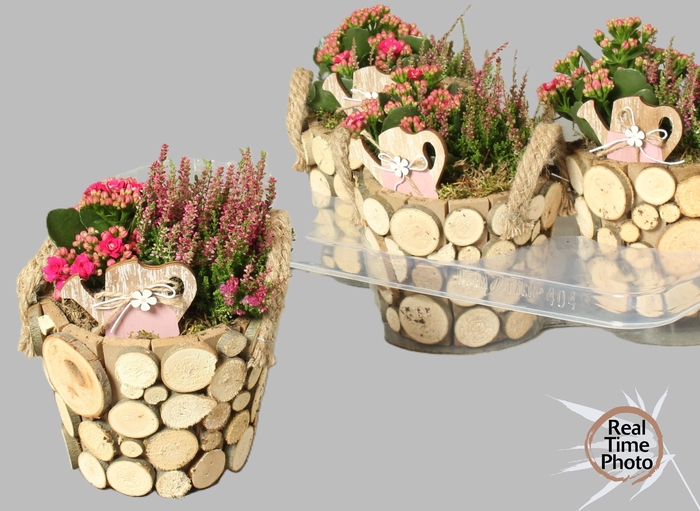 <h4>ARR TUINPLANTEN</h4>