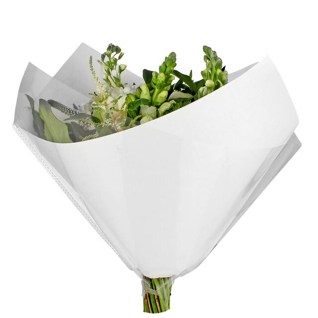 <h4>Hoes 35x35cm Oblique OPP35/80gr wit kraft 250/doos</h4>