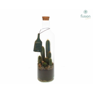 Green Bottle Fles Large met Cactussen