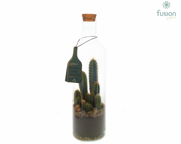 <h4>Green Bottle Fles Large met Cactussen</h4>