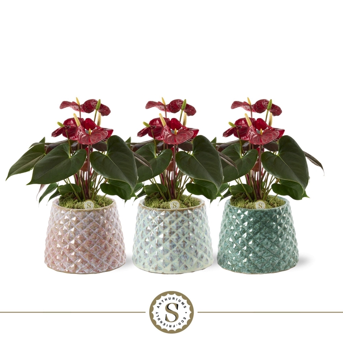 <h4>Florence Keramiek Coral</h4>