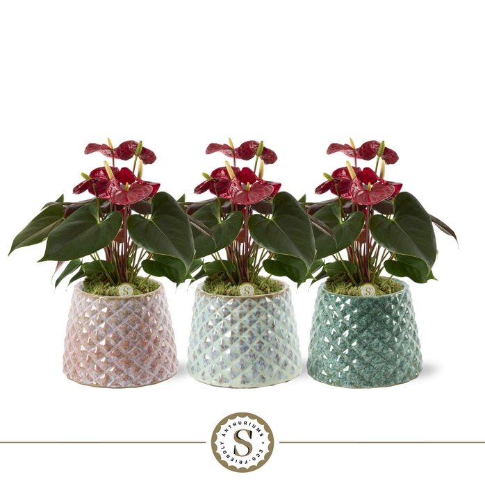 <h4>Florence Keramiek Coral</h4>