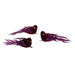 Bird Regalia 3pcs L15W15H6