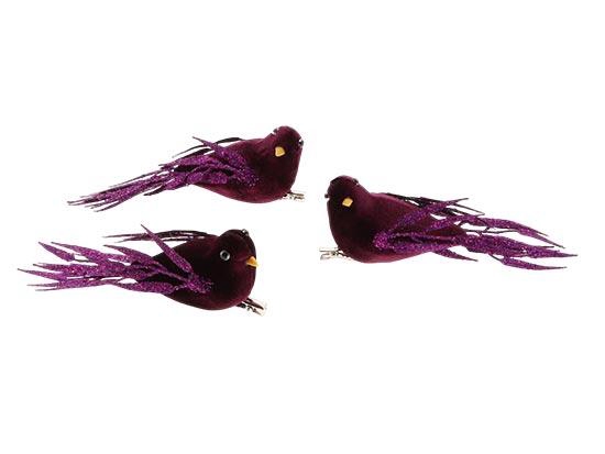Bird Regalia 3pcs L15W15H6