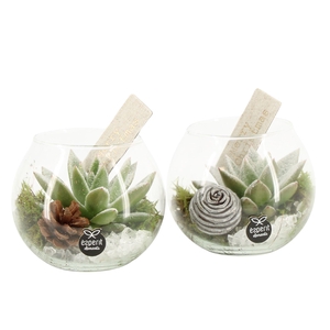 61684: X-mas arrangement