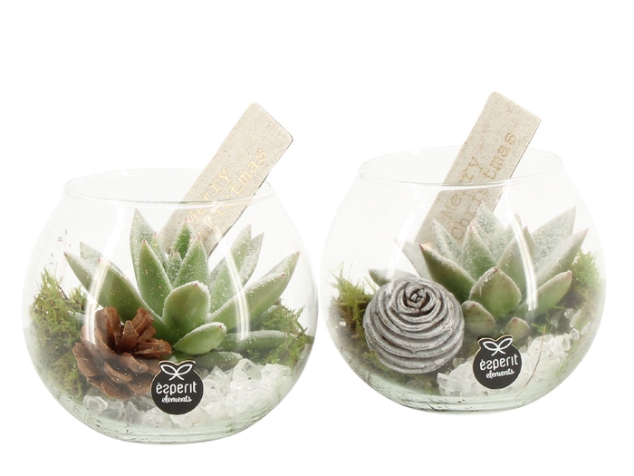 <h4>61684: X-mas arrangement</h4>