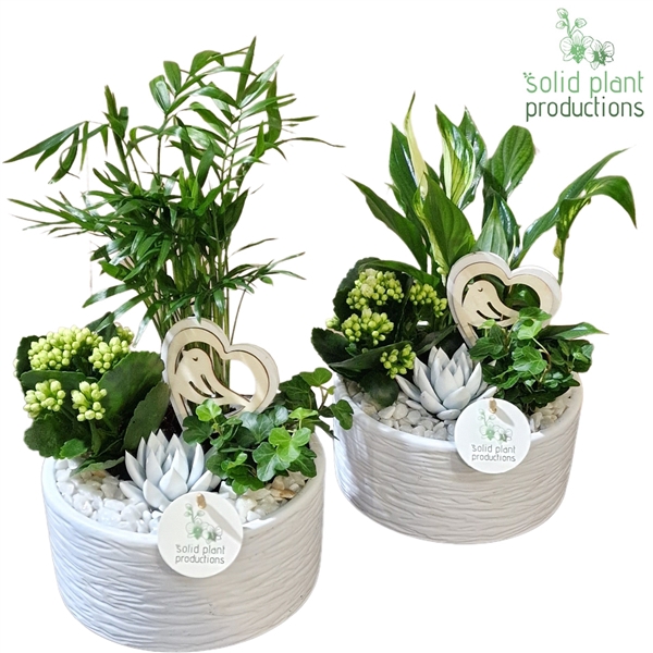 <h4>SCE003 Loes White Mix VM</h4>
