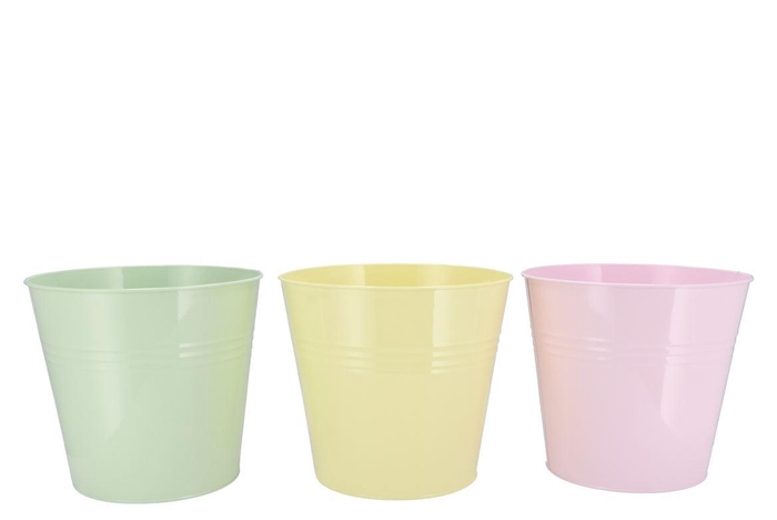 <h4>Zinc Dreamy Pastel Mix Bucket Basic Ass 22x20x16cm</h4>