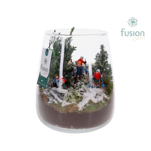 Glas Alzada groot met Kerst arrangement