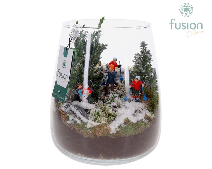 <h4>Glas Alzada groot met Kerst arrangement</h4>