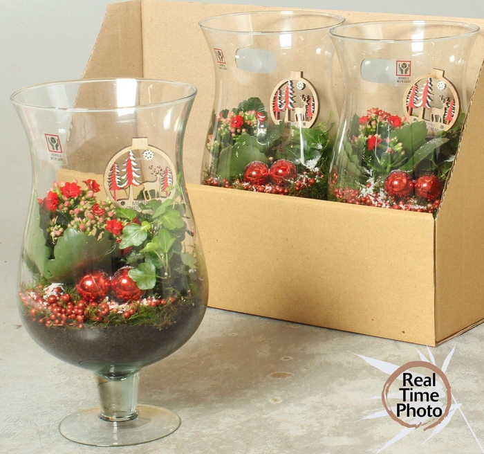 <h4>ARR KAMERPL</h4>