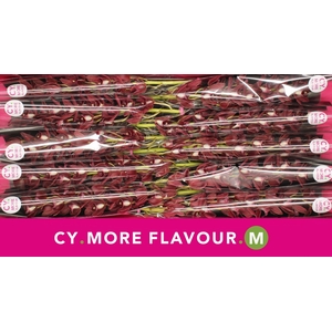 Mini cymbidium 'Benjamin' 60 cm