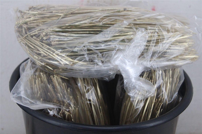 <h4>Dennen Naalden Gold</h4>