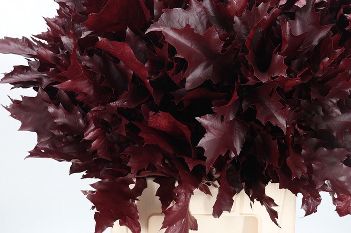 <h4>Eik Grof Bordeaux</h4>