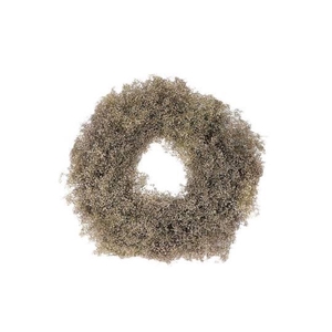 Wreath Gypsophila D40