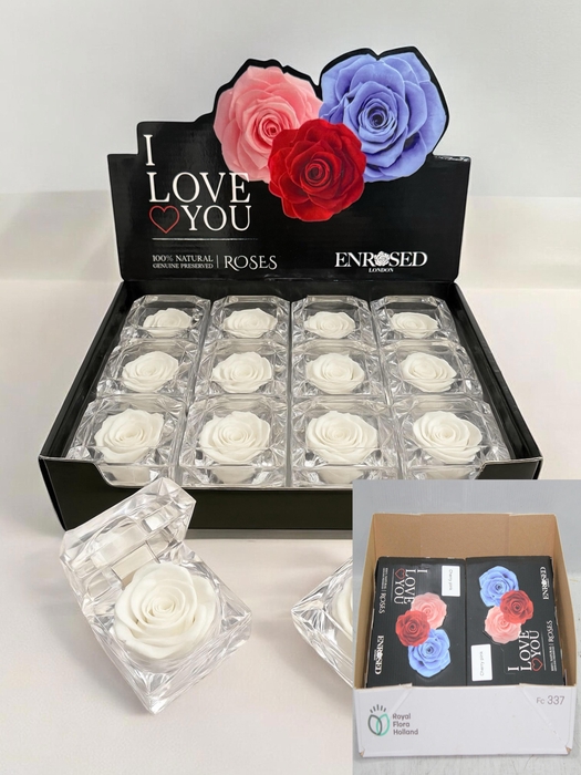 <h4>HUIS EN TUINDECO H%</h4>