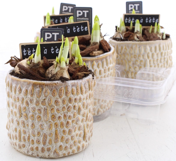 <h4>ARR N TETE A TETE</h4>