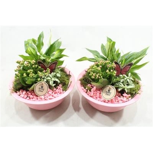 3426 Roze Zink Spath