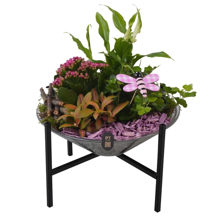 <h4>2669 PAARS GLAS OP POOTJE</h4>