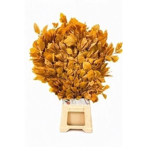 DECORGROEN KLB BS H%