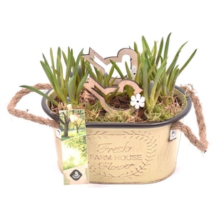 Zink ovaal met touw17x11cm