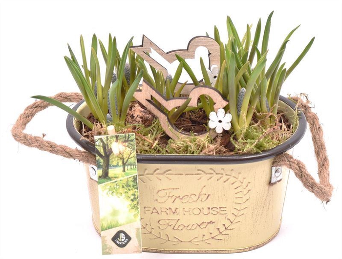 <h4>Zink ovaal met touw17x11cm</h4>