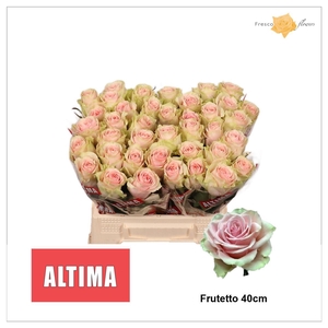 R GR FRUTTETO