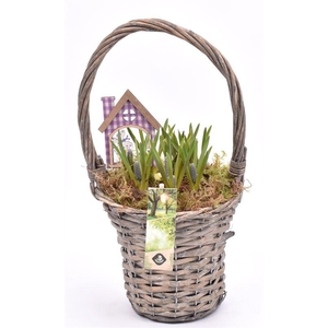 Wilg hengselmand gy 17cm