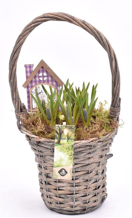 <h4>Wilg hengselmand gy 17cm</h4>