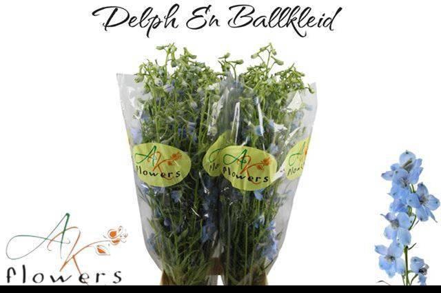 <h4>DELPH EN BALLKLEID</h4>