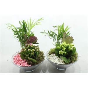 6157 GLAS SCHAALTJE 20