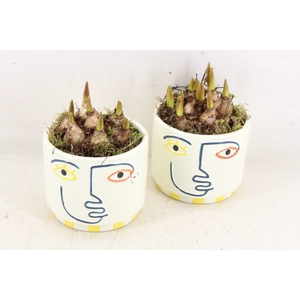 arr4 Muscari JS - Ker. pot face colour