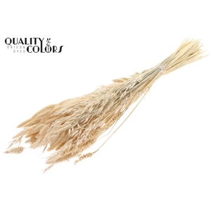 Dried Flower Mix bunch Bleached Frosted White