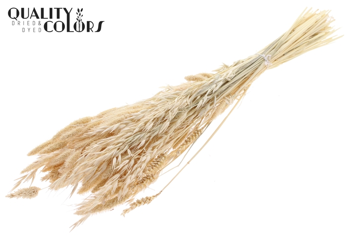 <h4>Dried Flower Mix bunch Bleached Frosted White</h4>