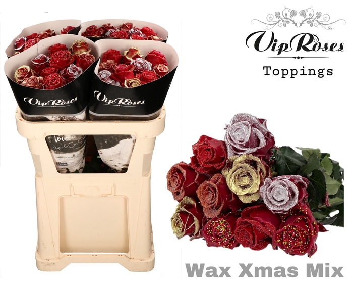 <h4>R Gr Wax Xmas Mix New</h4>