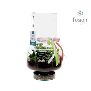 Green Bottle Lotte Large met Grootmoederdag arrangement