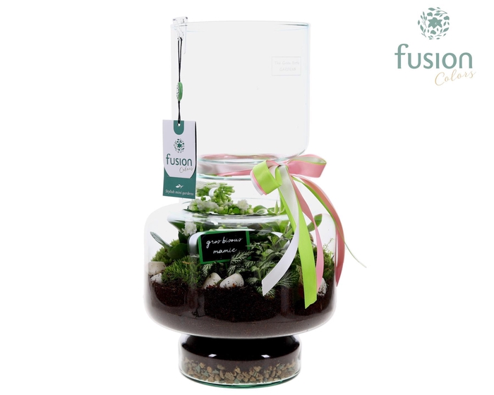 <h4>Green Bottle Lotte Large met Grootmoederdag arrangement</h4>