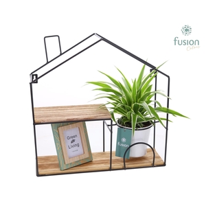 Wandhuis metaal met Chlorophytum