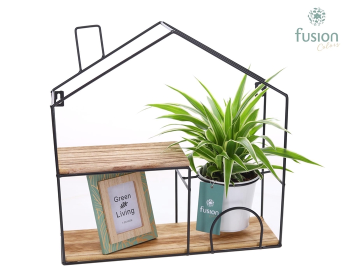 <h4>Wandhuis metaal met Chlorophytum</h4>