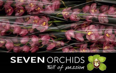 <h4>Cymb T Milano</h4>